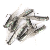 10pcs Lure Artificial Lure With Hook; Small Gray Fish Simulation Soft Bait 2